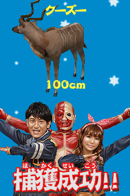 ꡼ No.006Υͥ / NDSӽФʳؤ ϵõʪĩᡪס⡼ɤξܺ٤о쥭饯ʤɤκǿ󤬸