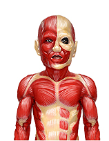 ꡼ No.026Υͥ / NDSӽФʳؤ ϵõʪĩᡪס⡼ɤξܺ٤о쥭饯ʤɤκǿ󤬸