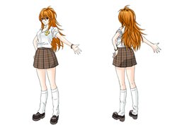 ���������꡼ No.006�Υ���ͥ������ / �֥ȥ������������ס��ȥ����դ�����ȯɽ�����ǿ���������