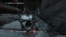 ꡼ No.022 | ֥Хʥ꡼ ɥᥤ׼͸뤵ޤޤʥ奨󤬥ߥ˥Ȥʤä֥ڥ륹ơפξ󤬸