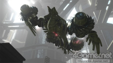 ꡼ No.002Υͥ / ֥Хʥ꡼ ɥᥤסޤ̿ŨܥåȤ³ȸ