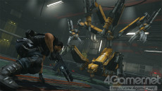 ꡼ No.007Υͥ / ֥Хʥ꡼ ɥᥤסޤ̿ŨܥåȤ³ȸ