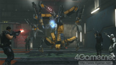 ꡼ No.008Υͥ / ֥Хʥ꡼ ɥᥤסޤ̿ŨܥåȤ³ȸ