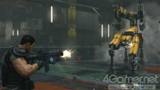 ꡼ No.009Υͥ / ֥Хʥ꡼ ɥᥤסޤ̿ŨܥåȤ³ȸ