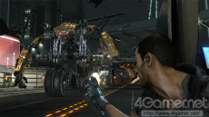 ꡼ No.014Υͥ / ֥Хʥ꡼ ɥᥤסޤ̿ŨܥåȤ³ȸ