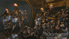 ꡼ No.023Υͥ / ֥Хʥ꡼ ɥᥤסޤ̿ŨܥåȤ³ȸ