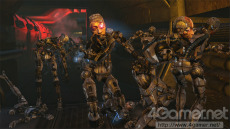 ꡼ No.024Υͥ / ֥Хʥ꡼ ɥᥤסޤ̿ŨܥåȤ³ȸ