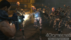 ꡼ No.025Υͥ / ֥Хʥ꡼ ɥᥤסޤ̿ŨܥåȤ³ȸ