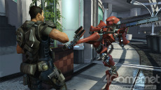 ꡼ No.040Υͥ / ֥Хʥ꡼ ɥᥤסޤ̿ŨܥåȤ³ȸ