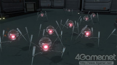 ꡼ No.044Υͥ / ֥Хʥ꡼ ɥᥤסޤ̿ŨܥåȤ³ȸ