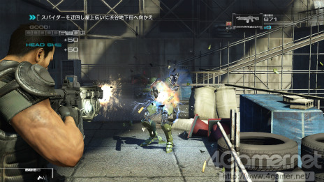 ꡼ No.026Υͥ / ֥Хʥ꡼ ɥᥤסʥΥޥˤǽϤζ˴ؤ󤬸