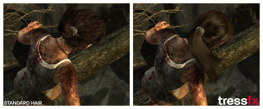꡼ No.004Υͥ / PCǡTOMB RAIDERפΥϡȱӤưˡAMDǻȤƬȱ󥰵ѡTressFX Hairפȯɽ
