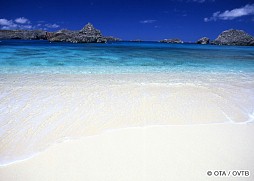 画像ギャラリー No.006のサムネイル画像 / 「TOMB RAIDER」に関するクイズに答えてサバイバルグッズなどを当てよう