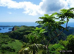 画像ギャラリー No.007のサムネイル画像 / 「TOMB RAIDER」に関するクイズに答えてサバイバルグッズなどを当てよう