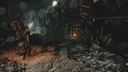 画像ギャラリー No.007のサムネイル画像 / 思わず応援したくなる危うさ。若くて未熟なララ・クロフトの姿を描いた「TOMB RAIDER」をプレイムービーで紹介