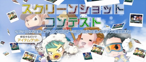 ꡼ No.001Υͥ / ֥ץ꡼󥷥åȥƥȤšþޤ⤢