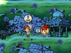 画像ギャラリー No.003のサムネイル画像 / 「ウィローズ」,新マップ登場。さらに経験値&銭&ドロップ率が25%UP