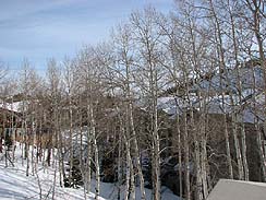 ꡼ No.004 | 褦ءBethesda Softworks楿ǥץ쥹٥ȡBFG 2011פ򳫺šThe Elder Scrolls V: SkyrimפʤɤδԺޤȤƾҲ