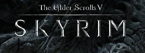���������꡼ No.003�Υ���ͥ������ / ��The Elder Scrolls V: Skyrim�פ�ȯ����Bethesda Softworks�Υ����ѡ�����˥��󥿥ӥ塼������ǽ�ȥ��㥦�ȡɤ����Ӥ˹�碌��3�ʳ���Ĵ���ǽ