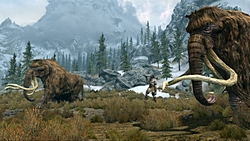 ���������꡼ No.011�Υ���ͥ������ / ��Gamescom�ϡ�The Elder Scrolls V: Skyrim�פΥץ쥹����ե���󥹤����š���ͳ�٤ι⤤����饯�����ᥤ���󥰤ȡ����������������椬�о�