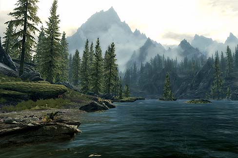 ���������꡼ No.006�Υ���ͥ������ / ��The Elder Scrolls V: Skyrim�׳�ȯ������΢��Ҳ𤹤�ࡼ�ӡ����������ץ쥤�䡼�����Ǥ�Ǥ��륲��������񤷤�