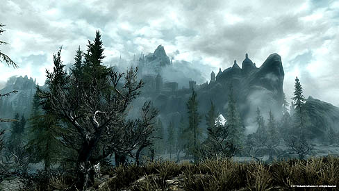 画像ギャラリー No.001のサムネイル画像 / PC版「The Elder Scrolls V: Skyrim」が「第4回 秋葉原PCゲームフェスタ」に出展。NVIDIAの全面協力で,リッチな環境でのプレイが堪能できる