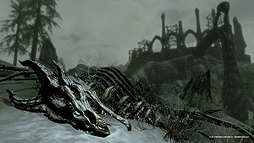 ���������꡼ No.009�Υ���ͥ������ / ��The Elder Scrolls V: Skyrim�פ�DLC��Dragonborn�ס�12��κǿ������꡼�󥷥�åȤȥ�����ξܺ٤����