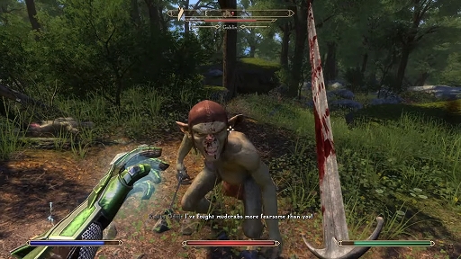 ꡼ No.005Υͥ / SkyrimOblivionƸ絬MODSkyblivionסChorrolγǼ륯2Υץ쥤