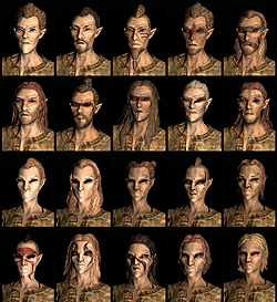 ꡼ No.013 | The Elder Scrolls V: SkyrimץǥθǼºݤ230ʬۤɿäƤΤǡäץ쥤ݡȤϤ