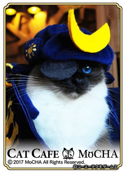 ���������꡼ No.002�Υ���ͥ������ / �֤Τ֥˥㤬����˾�פ�ǭ���ե���MoCHA�פΥ���ܤ����š��¼̥����ɤ��о�