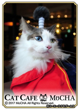 ���������꡼ No.003�Υ���ͥ������ / �֤Τ֥˥㤬����˾�פ�ǭ���ե���MoCHA�פΥ���ܤ����š��¼̥����ɤ��о�