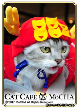 ���������꡼ No.005�Υ���ͥ������ / �֤Τ֥˥㤬����˾�פ�ǭ���ե���MoCHA�פΥ���ܤ����š��¼̥����ɤ��о�