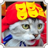 ���������꡼ No.008�Υ���ͥ������ / �֤Τ֥˥㤬����˾�פ�ǭ���ե���MoCHA�פΥ���ܤ����š��¼̥����ɤ��о�