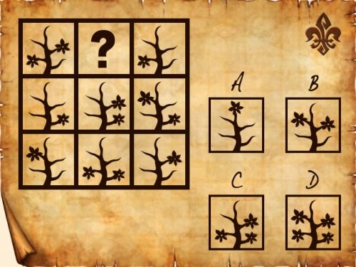 ꡼ No.008 | ֥ɥȥåפWebȡ֥ܥ㥯ηݿġ׺ǽ