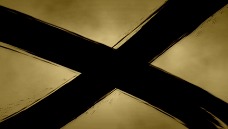 ꡼ No.037Υͥ / ֥󥺥 ѥ륫ס֥åסʼҡ׻ѥ°ǡַѥåפξܺ٤餫 