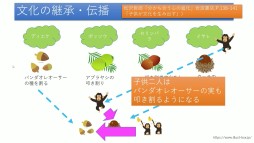 ���������꡼ No.059�Υ���ͥ������ / �ֹ���� ����Ȭ��78�ˡ�İ�֥�ݡ��ȡ�������AI��ȯ�Ԥλ����۰�Ϻ�᤬���͹���ǽ��ů�ؤȺǿ��������