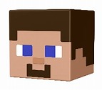 画像ギャラリー No.003のサムネイル画像 / 「Minecraft」の“モブヘッドミニフィギュア”と“ベーシックフィギュア Fアソート”が5月28日に発売へ