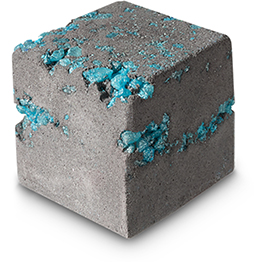 ꡼ No.020 | Minecraftץ֥åŨ֤ΥХܥʤɤо졣LUSHȤΥܾʤ815缡ȯ