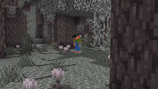 ���������꡼ No.001�Υ���ͥ������ / ��Minecraft�ס����åץǡ��ȡ�The Garden Awakens�פ��ۿ����ϡ��������Х��������Pale Garden�פ��о�