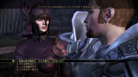 ꡼ No.004Υͥ / Dragon Age: Origins - AwakeningפǤϡޥ󥷥ϰ褬ˡݡ̩˽쥤ǥƶ