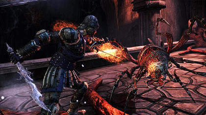 ꡼ No.009 | ѥDragon Age: Origins - Awakeningפо줹뿷ʥѡƥС⡤ǤʤʥĤФ