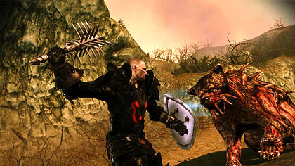 ꡼ No.011 | ѥDragon Age: Origins - Awakeningפо줹뿷ʥѡƥС⡤ǤʤʥĤФ