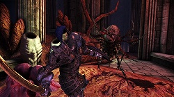 ꡼ No.033 | ѤˤʤäݡȤο襤ĩᡣʤ륭ڤĥѥåDragon Age: Origins - Awakeningץץå