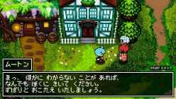 ꡼ No.007 | ȯޤǻĤ1֤ä֥饷å󥸥X2פ̥ϤƳǧ֥פֱͺס֥եȥ֥쥤פȤΥܾ