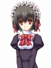 ꡼ No.011Υͥ / ˻ҤνҹADVֲϤФޤƤ Portable 2ͤΥפPSP2011ǯդȯ