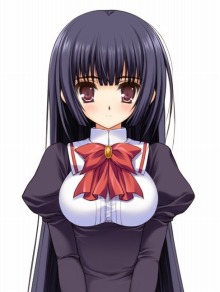 ꡼ No.014Υͥ / ˻ҤνҹADVֲϤФޤƤ Portable 2ͤΥפPSP2011ǯդȯ