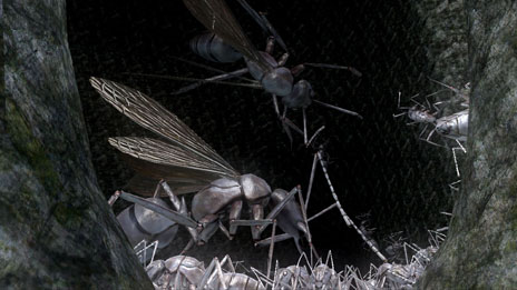 ꡼ No.002 | ϵɱҷ4׿Ũ饯֥סֿåɥ顼ס緿͢פ¸ߤȽ֥饤ϥץ쥤פξܺ٤餫