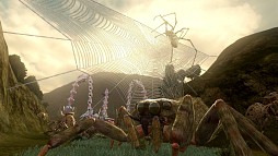 ꡼ No.009 | ϵɱҷ4סɲåߥåѥå3ơ˾ءפ1128ۿ