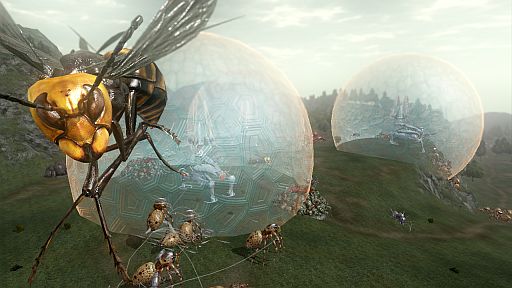 ꡼ No.030 | ϵɱҷ4סɲåߥåѥå3ơ˾ءפ1128ۿ