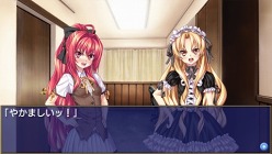 ꡼ No.022Υͥ / ץȥס͵ǥΥ٥륷꡼ǿֿճݥե˥ եפPSPǤ217ȯ